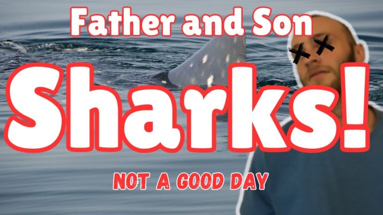 My son didn’t make it. (2025 Bohol Whale-sharks)
