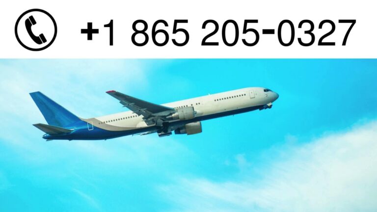 Expedia Customer Service | How to Contact Expedia About Flight Delays or Hotel Issues