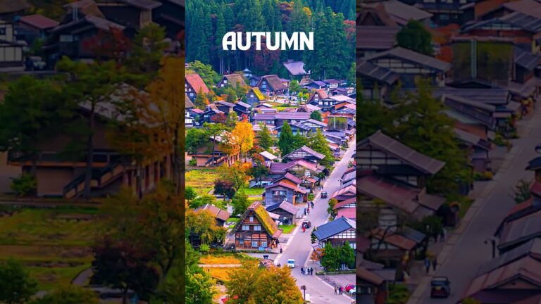 Exploring Shirakawa Village: A Year in Four Seasons #shirakawago  #japantravels #fourseasons